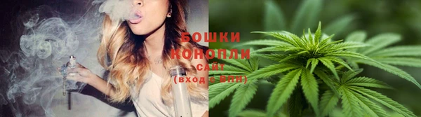 круглые Вязьма