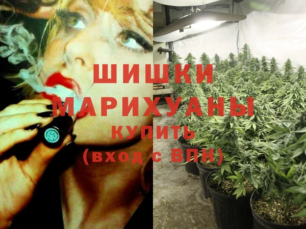 СК Вяземский