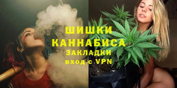 СК Вяземский