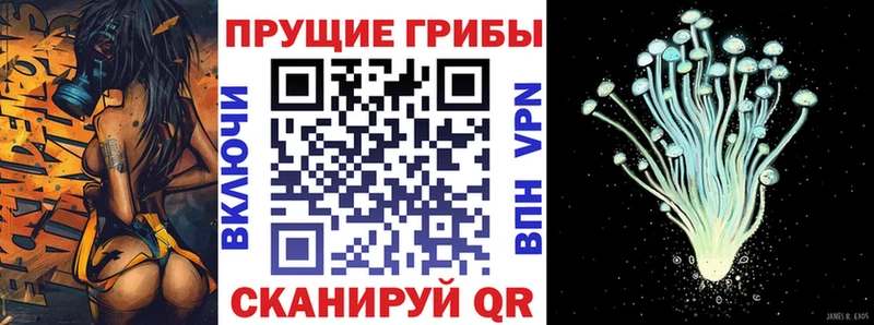 Псилоцибиновые грибы мухоморы  ОМГ ОМГ маркетплейс  Десногорск 